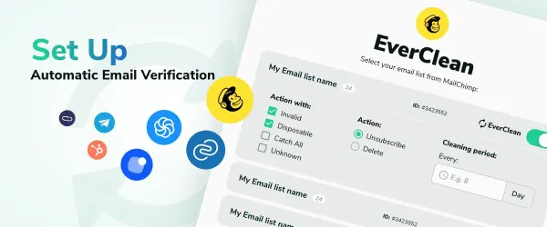 Automated Email Verification - EverClean